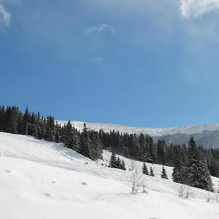 Koralpe Koralmrose Chalet Frantschach-Sankt Gertraud