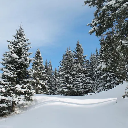 Koralpe Koralmrose Dağ evi