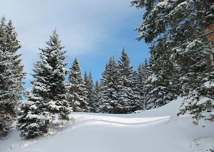 Koralpe Koralmrose Domek alpejski